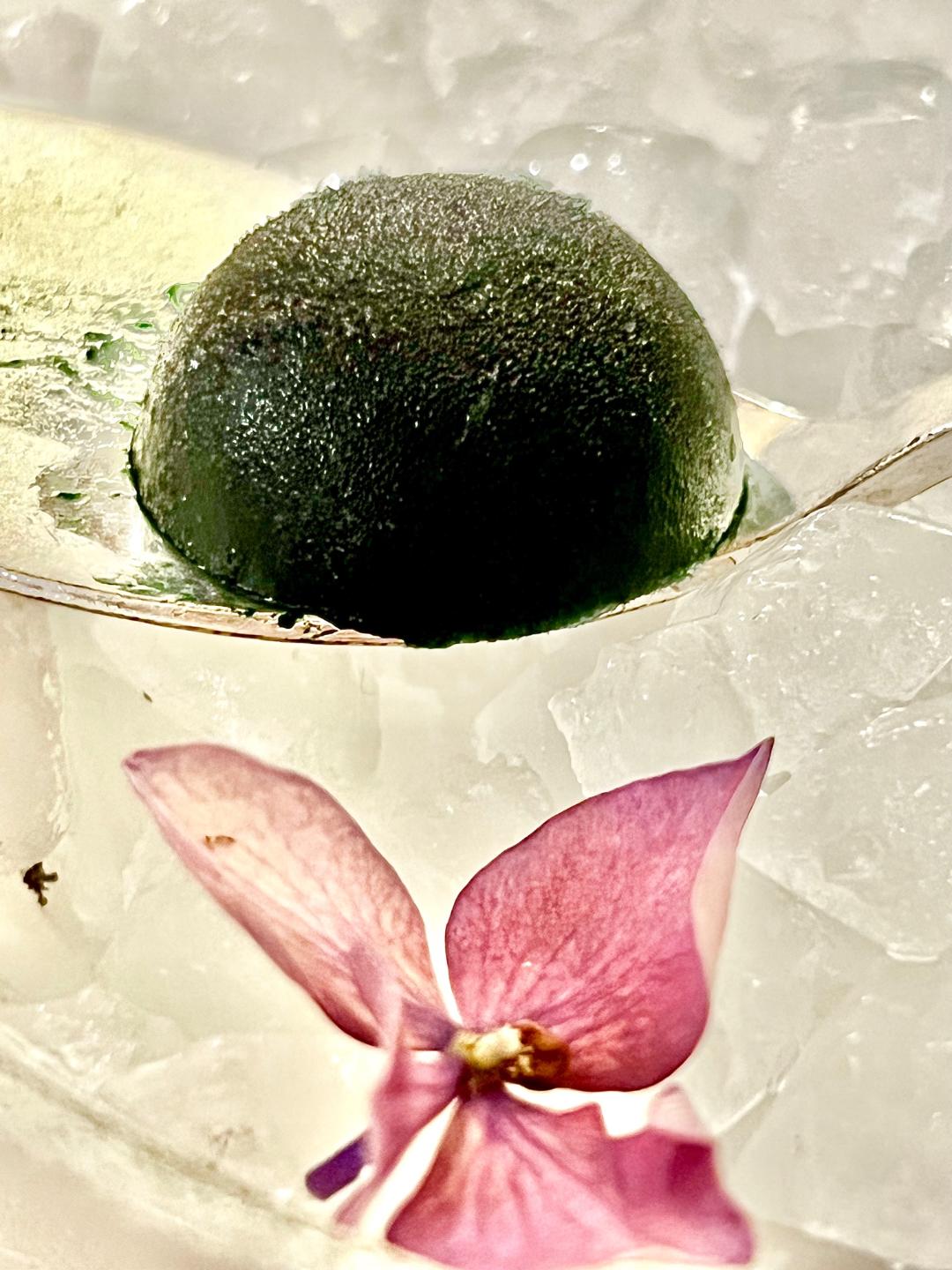 bonbon glacé spiruline algo ria gavrinis_1