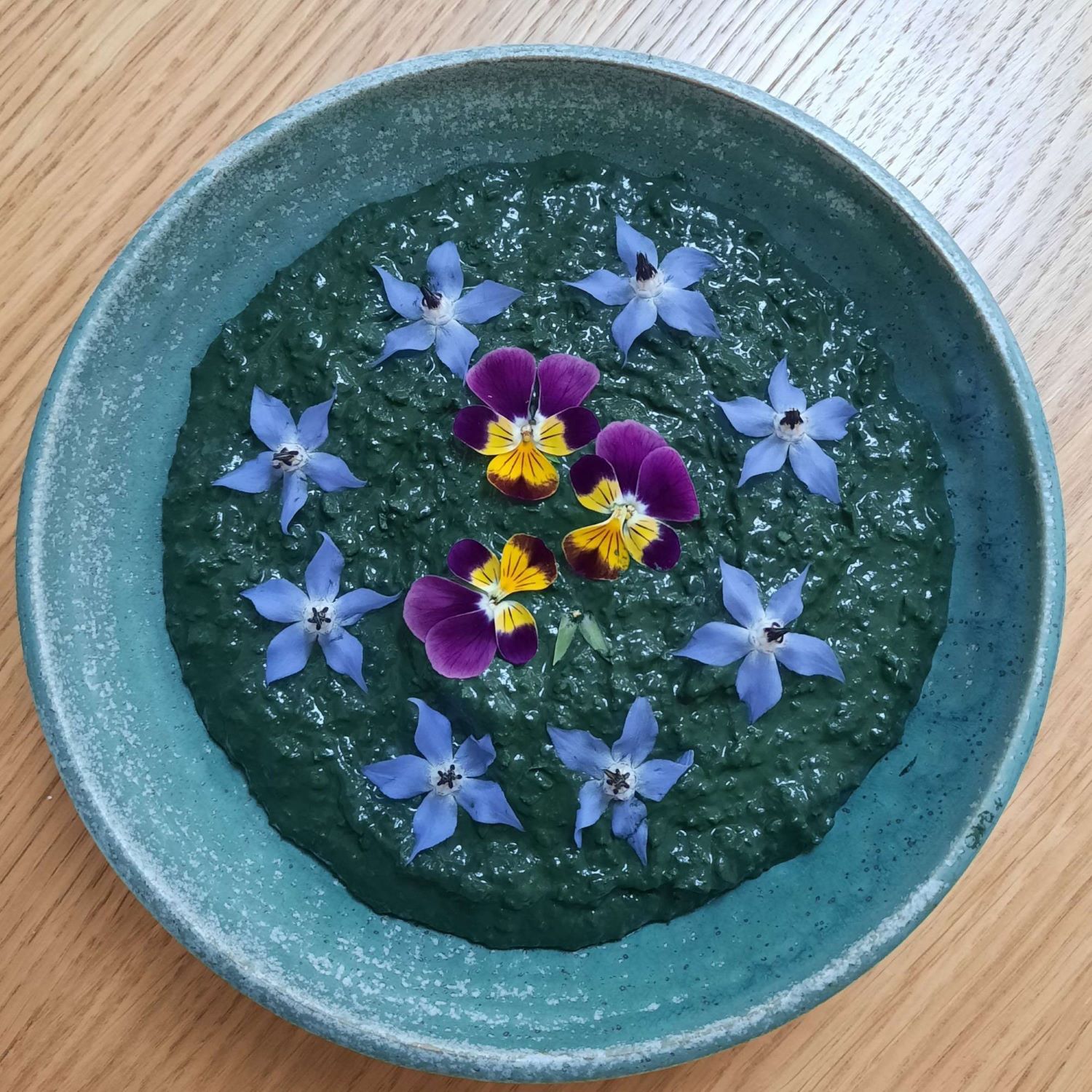 Algo-ria hommous spiruline