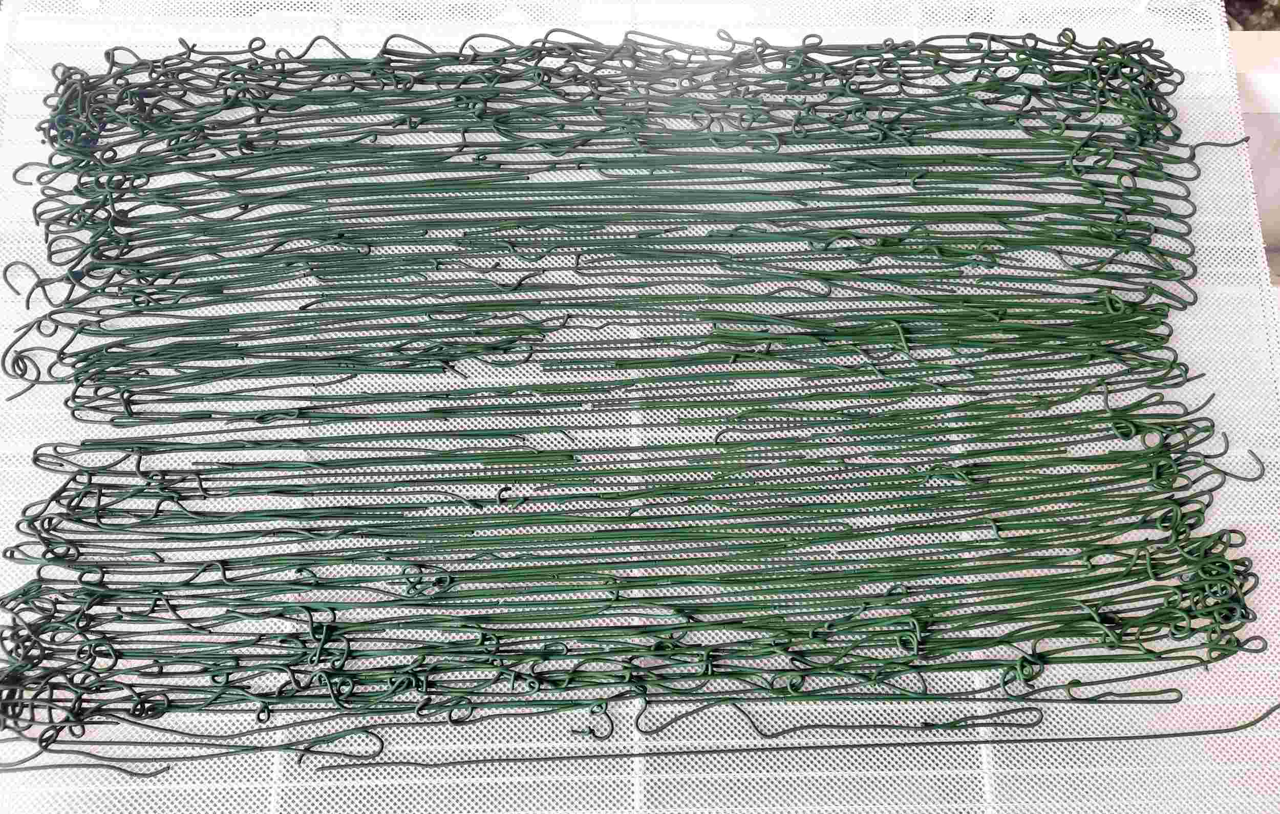 spaghettis spiruline algo ria Etel